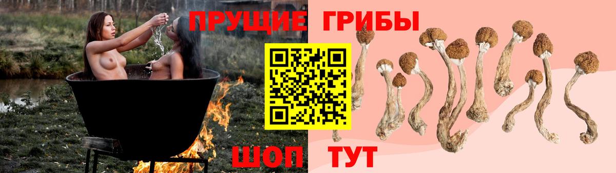 Псилоцибиновые грибы Psilocybine cubensis  Вход с VPN  Вичуга 